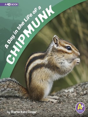 cover image of A Day in the Life of a Chipmunk